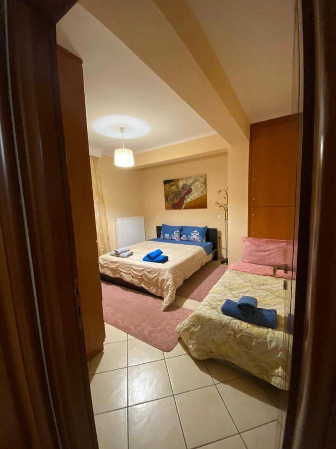 Bakopoulos Resort.Ενα Όμορφο Διαμέρισμα Με Τζάκι Tríkala Екстериор снимка