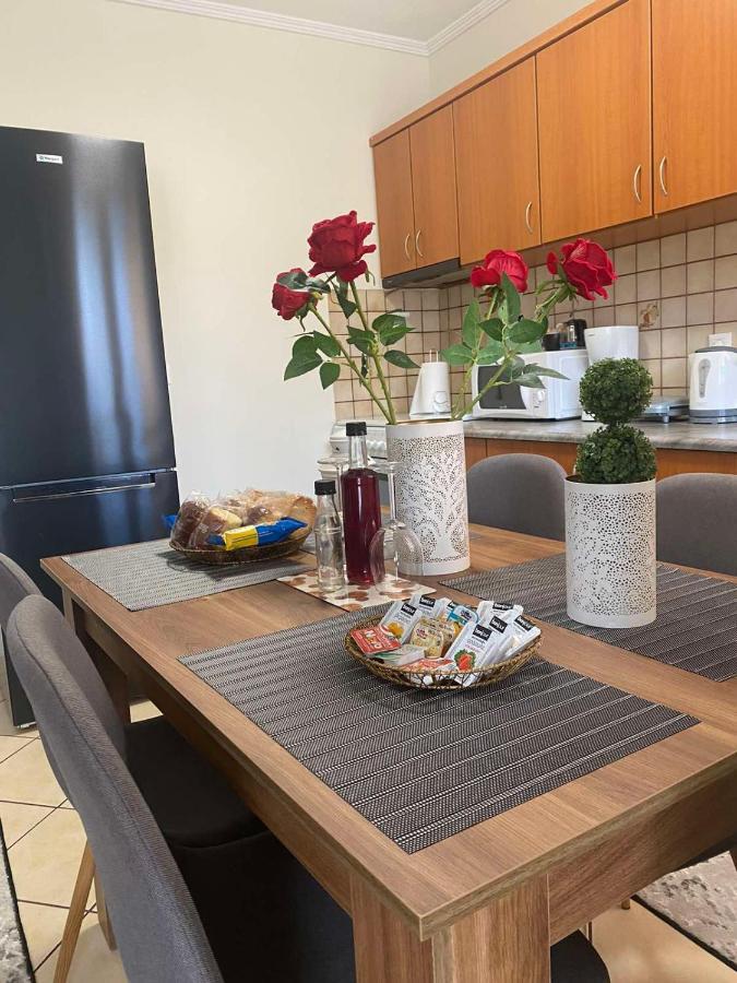 Bakopoulos Resort.Ενα Όμορφο Διαμέρισμα Με Τζάκι Tríkala Екстериор снимка